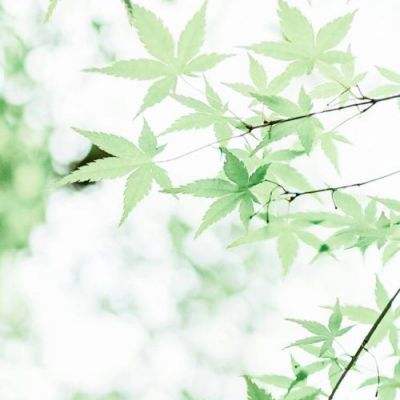复杂测针这样配，测量效率提升 1...